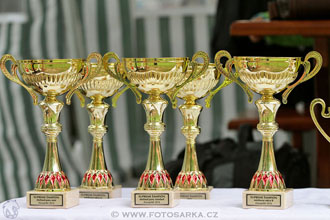 Podzámecká výstava