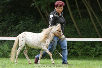 Podzámecká výstava