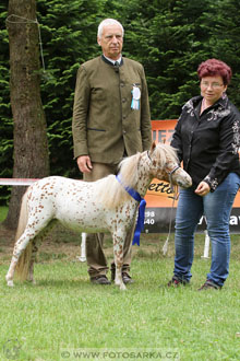 Podzámecká výstava