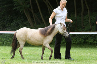 Podzámecká výstava