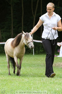 Podzámecká výstava