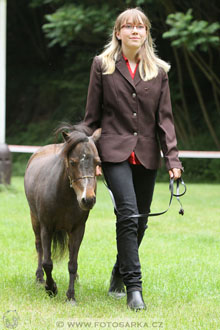 Podzámecká výstava