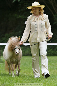 Podzámecká výstava