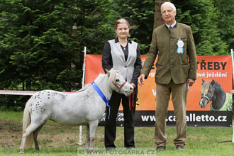 Podzámecká výstava