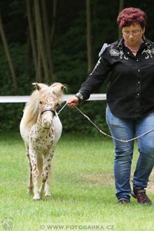 Podzámecká výstava