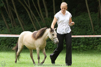 Podzámecká výstava