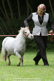 Podzámecká výstava