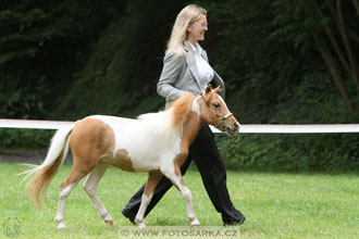Podzámecká výstava