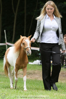 Podzámecká výstava