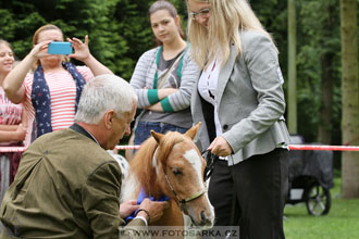 Podzámecká výstava