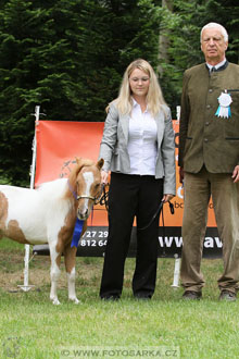 Podzámecká výstava