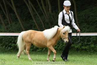 Podzámecká výstava