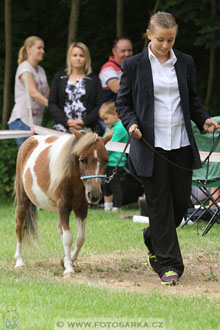 Podzámecká výstava