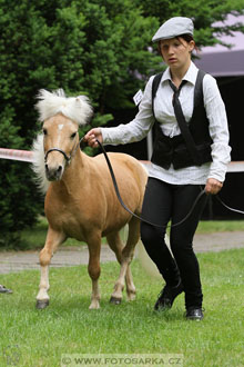 Podzámecká výstava