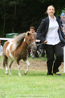 Podzámecká výstava