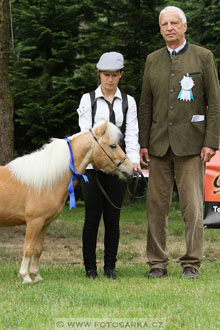 Podzámecká výstava