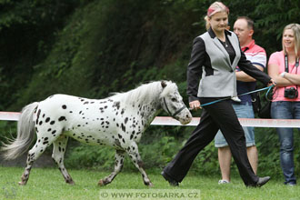 Podzámecká výstava