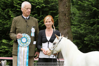 Podzámecká výstava