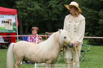 Podzámecká výstava