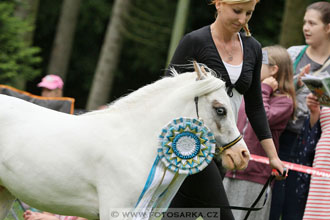 Podzámecká výstava