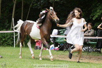 Podzámecká výstava