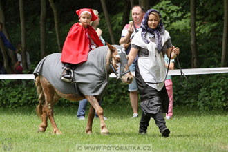 Podzámecká výstava