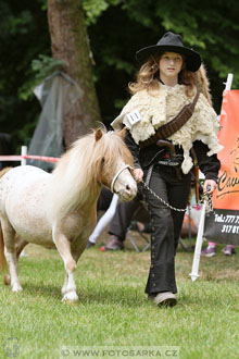 Podzámecká výstava