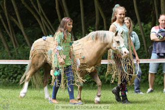 Podzámecká výstava