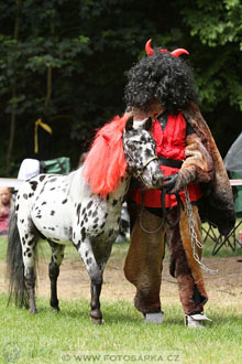 Podzámecká výstava