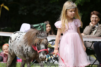 Podzámecká výstava