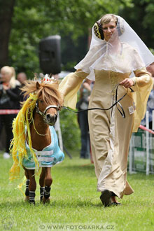 Podzámecká výstava