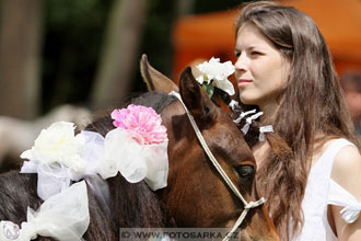 Podzámecká výstava
