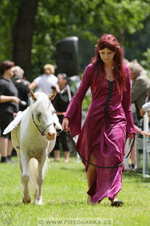 Podzámecká výstava