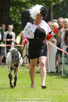 Podzámecká výstava