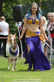 Podzámecká výstava