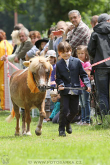 Podzámecká výstava