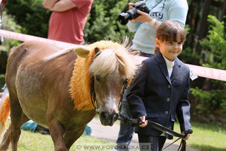 Podzámecká výstava
