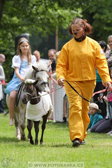 Podzámecká výstava