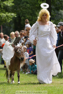 Podzámecká výstava