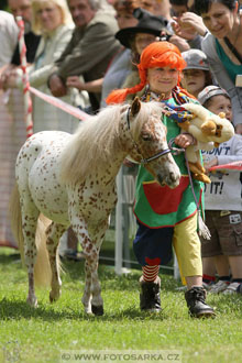 Podzámecká výstava