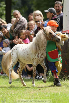 Podzámecká výstava