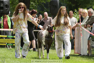 Podzámecká výstava