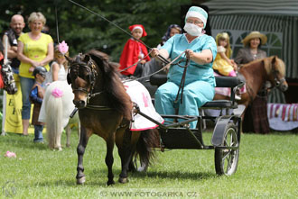 Podzámecká výstava