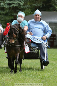 Podzámecká výstava