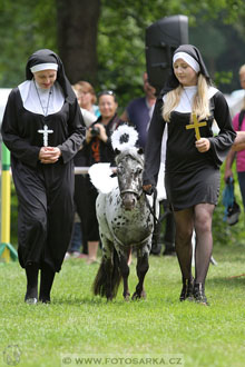 Podzámecká výstava