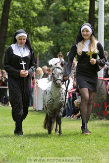 Podzámecká výstava