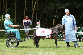 Podzámecká výstava