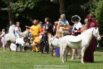 Podzámecká výstava