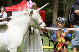 Podzámecká výstava