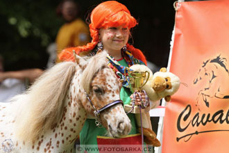 Podzámecká výstava